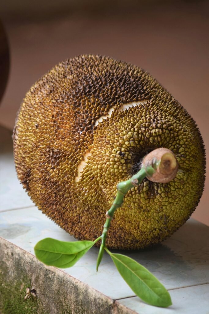 pexels-photo-12577516-12577516 A detailed view of a ripe jackfruit with its rough skin and green leaves, symbolizing tropical freshness.
